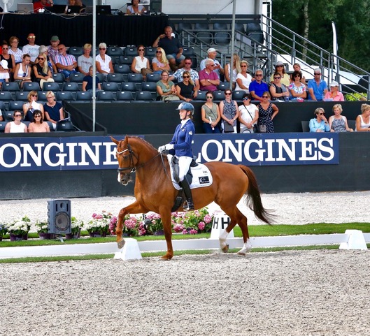 Sarah Wilkinson - WYHC