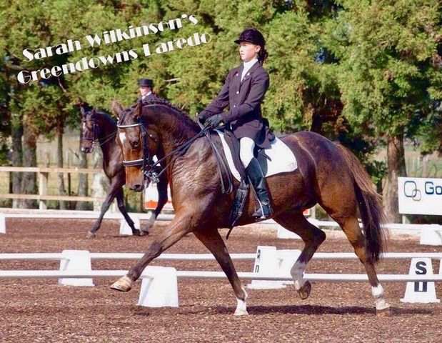 Sarah Wilkinson and Larry Clevendon