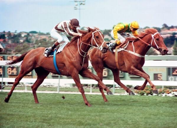 Sarah Wilkinson and racehorse Bonecrusher