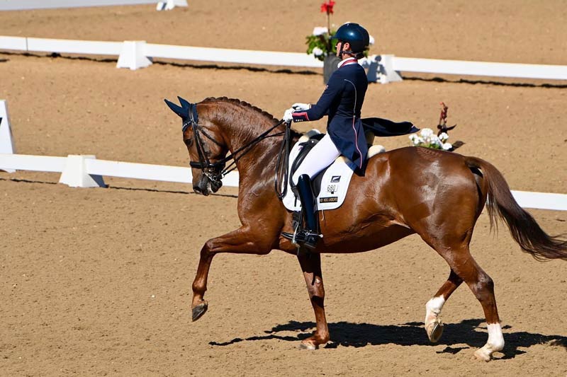 Dressage event with Horacia