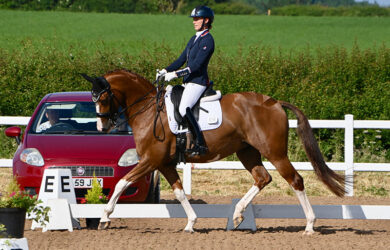 Success at Valeview Equestrian