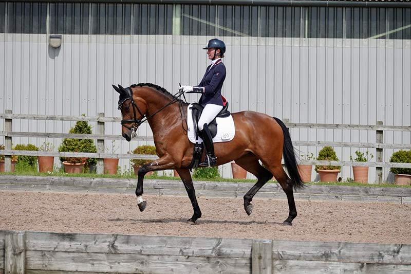 Dressage with "Memory"