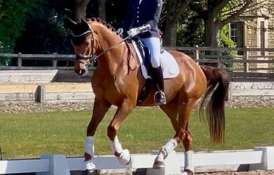 New Season, Fresh Faces